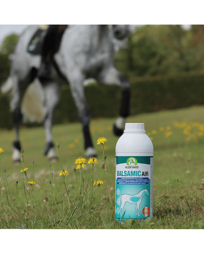 Balsamic Air