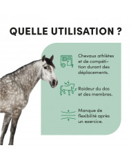 Ekyflex Nodolox Flash