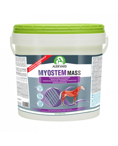 Myostem Mass - Développement musculaire cheval