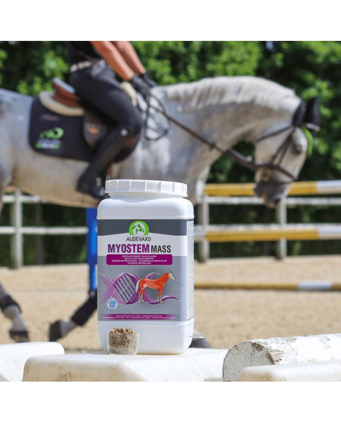 Myostem Mass Myostem Mass