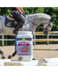 Myostem Mass Myostem Mass