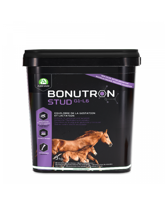 Bonutron Stud G1-L6