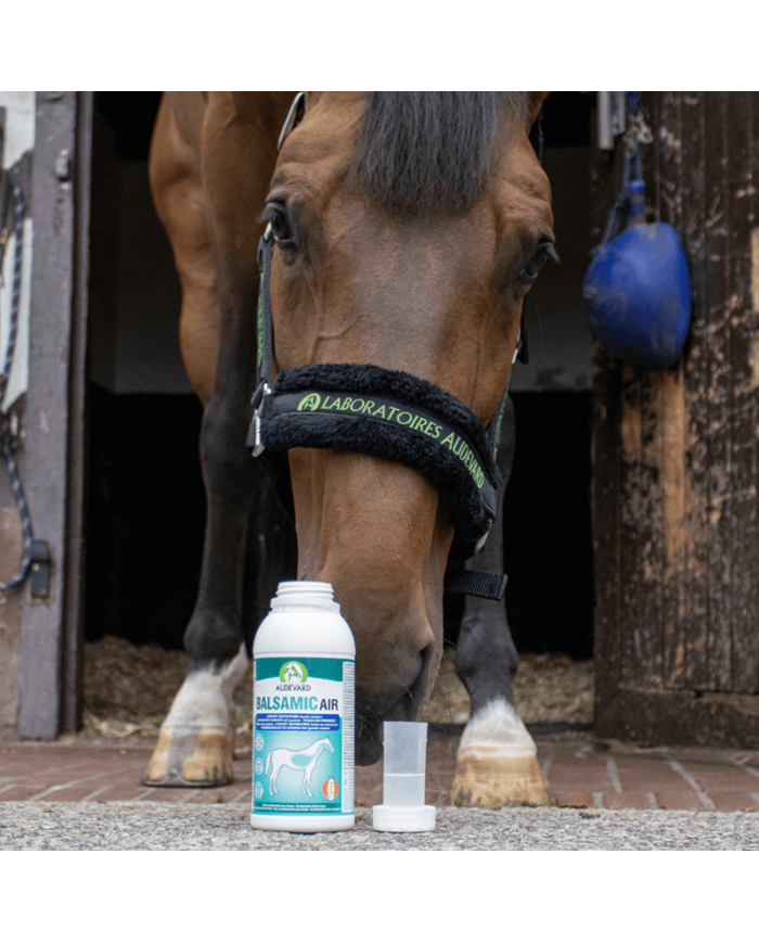 Balsamic Air