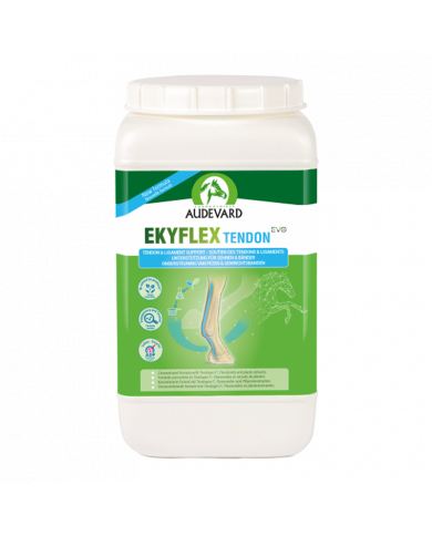 Ekyflex Tendon EVO - Soutien tendons et ligaments cheval