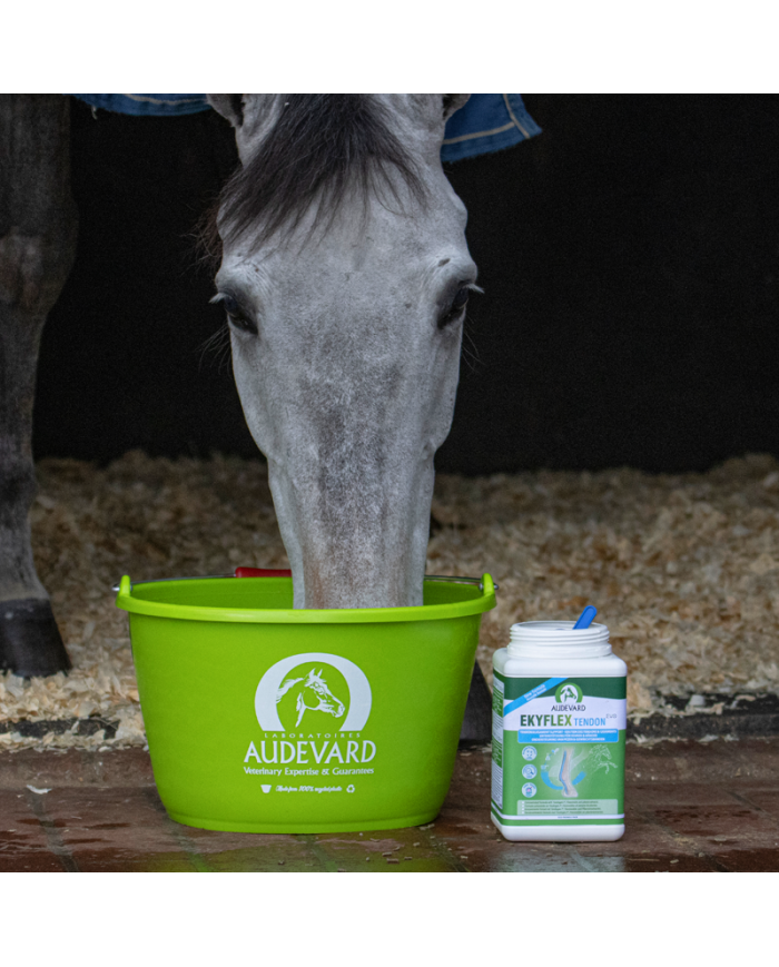 Ekyflex Tendon EVO