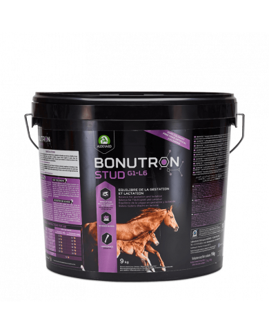 Bonutron Stud G1-L6 -  CMV jument gestante et poulain