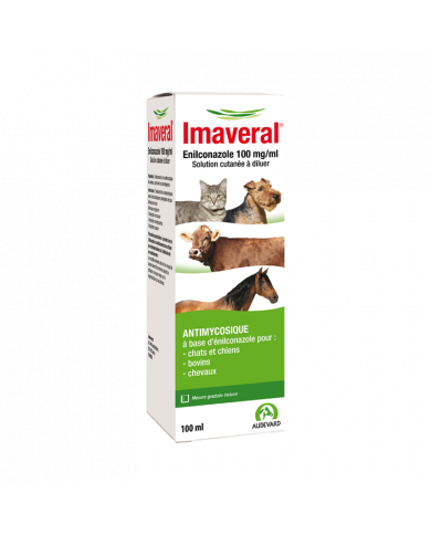 Imaveral Imaveral