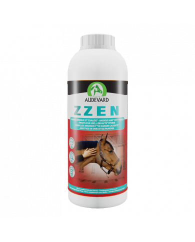 Zzen Zzen