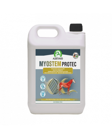 Myostem Protec - Résistance musculaire cheval