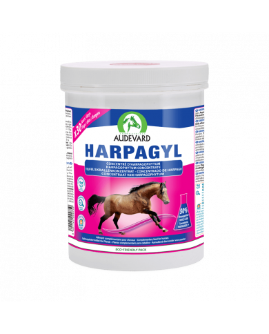 Harpagyl - Harpagophytum cheval