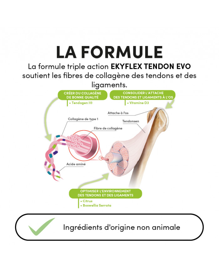 Ekyflex Tendon EVO