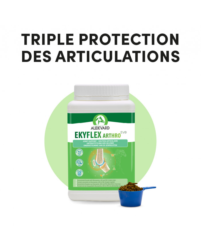 Ekyflex Arthro EVO