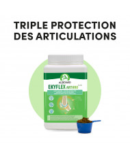 Ekyflex Arthro EVO