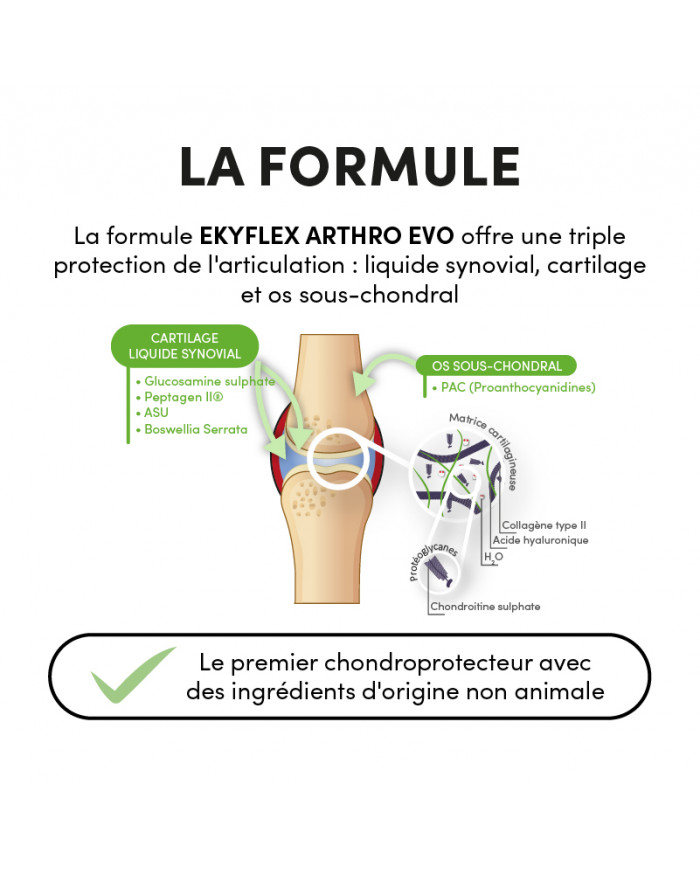 Ekyflex Arthro EVO