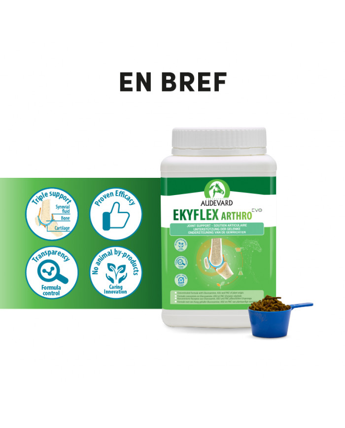 Ekyflex Arthro EVO