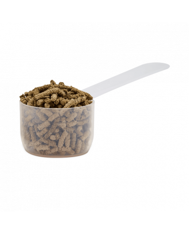 Ekygard+ - Soutien gastrique cheval