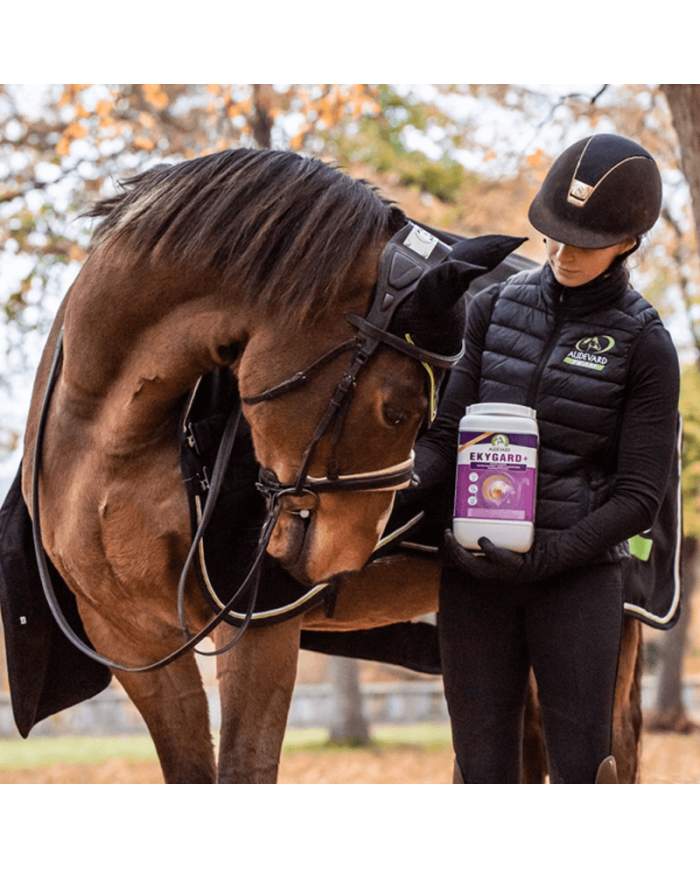 Ekygard+