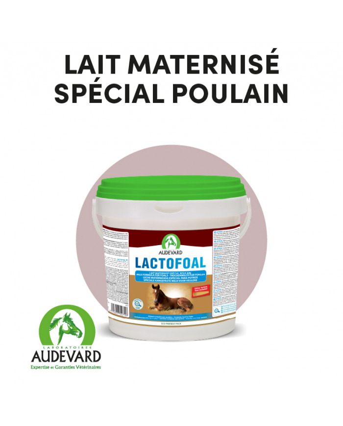 Lactofoal