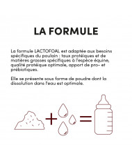 Lactofoal
