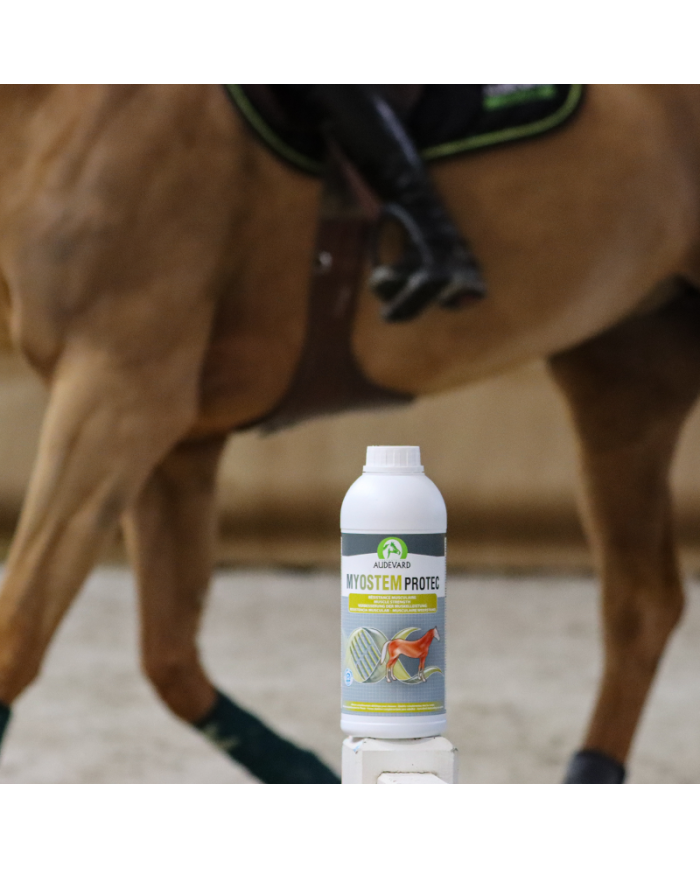 Myostem Protec