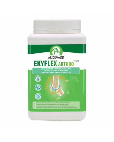 Ekyflex Tendon EVO