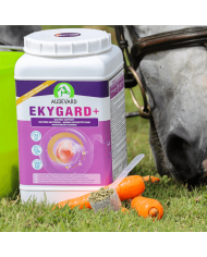 Ekygard+