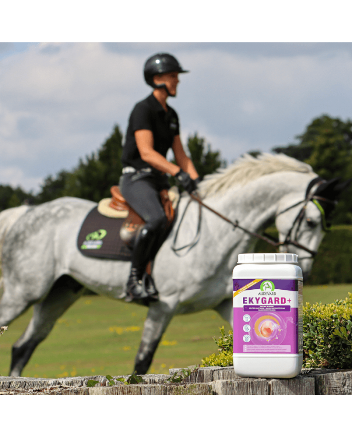 Ekygard+