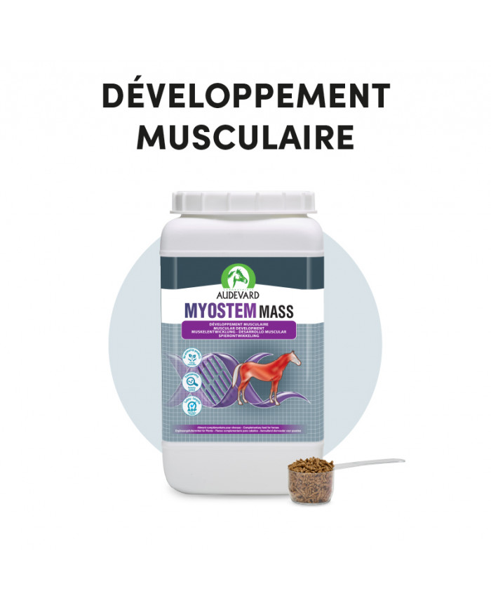 Myostem Mass