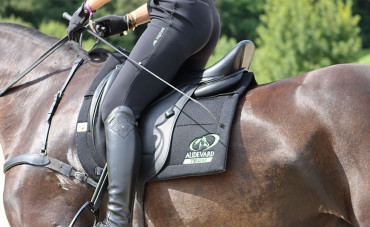 Working on your horse's cardiorespiratory system