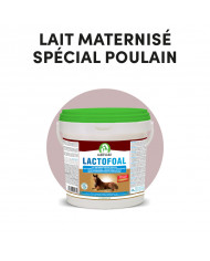 Lactofoal