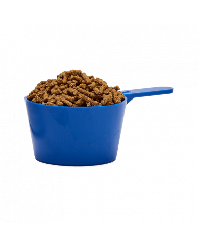 Immuno RS - High-risk periods