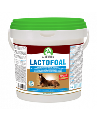 Lactofoal
