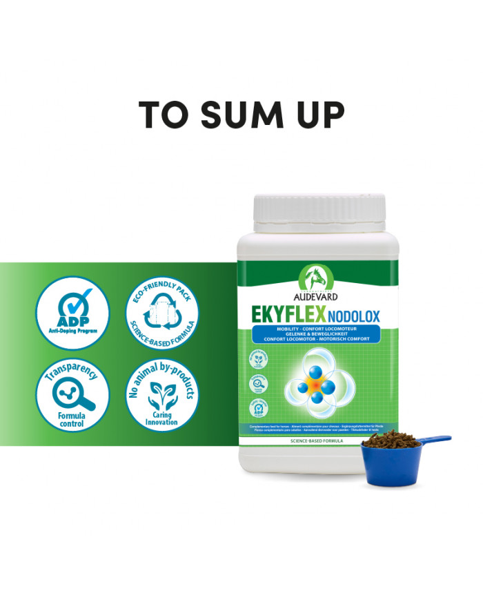 Ekyflex Nodolox