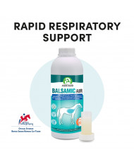 Balsamic Air