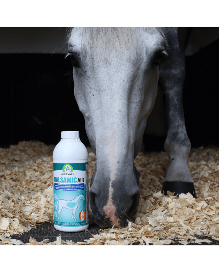 Balsamic Air