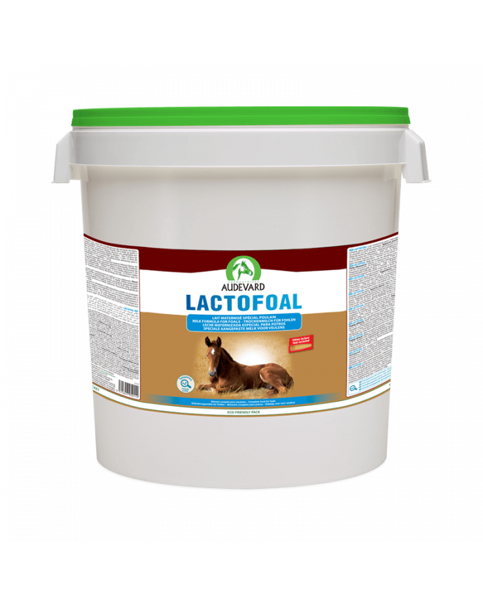 Lactofoal