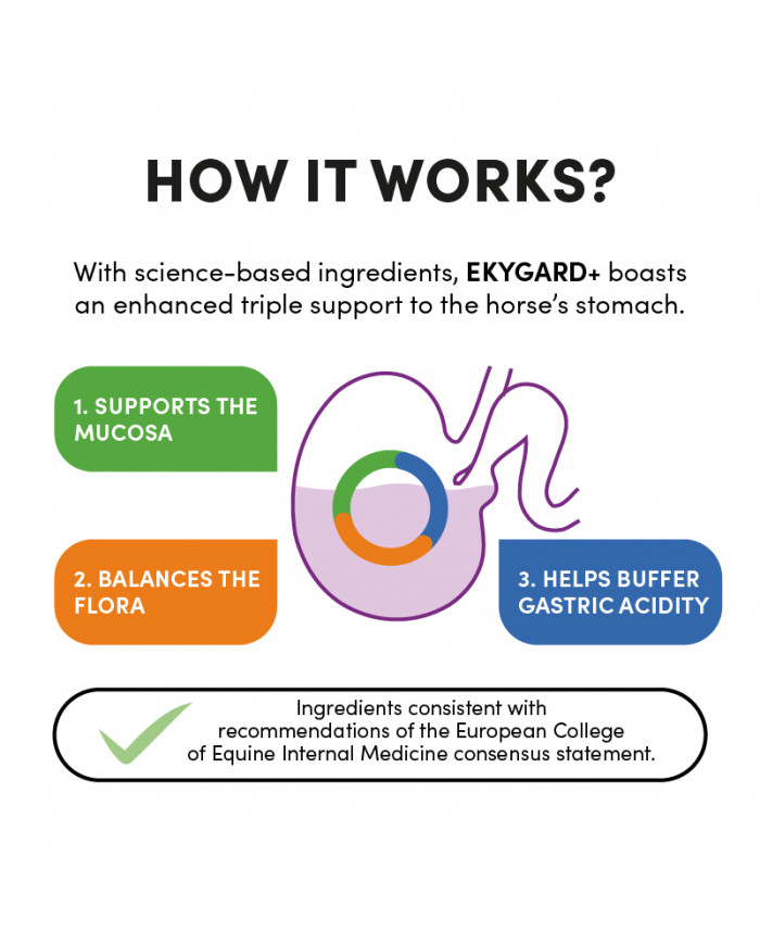 Ekygard+