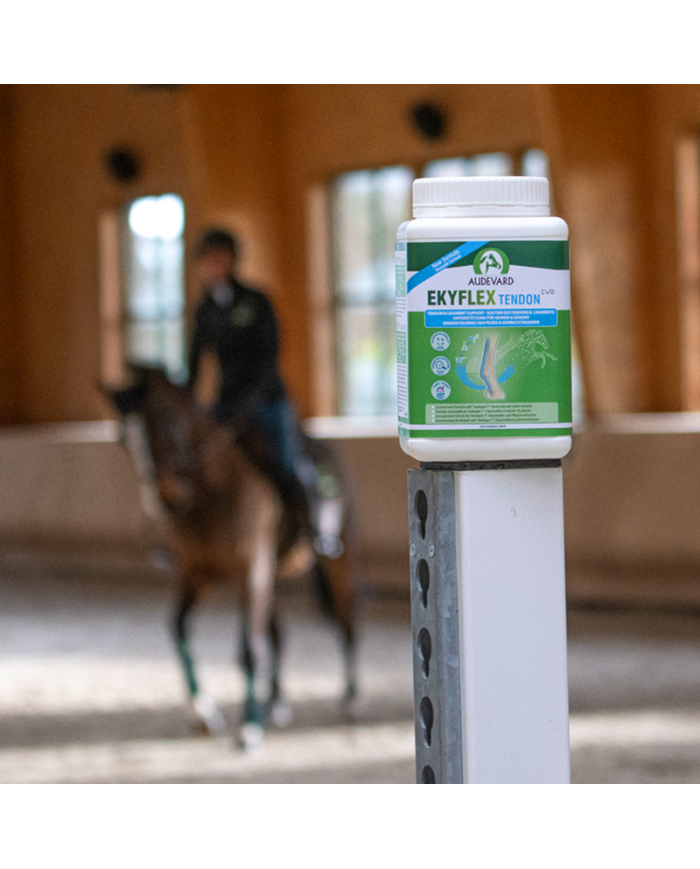 Ekyflex Tendon EVO
