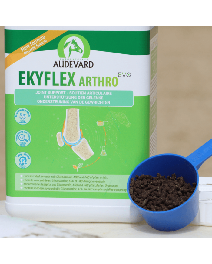 Ekyflex Arthro EVO