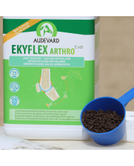 Ekyflex Arthro EVO
