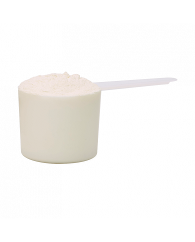 Lactofoal - Milk formula for foals