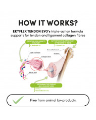 Ekyflex Tendon EVO