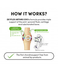 Ekyflex Arthro EVO
