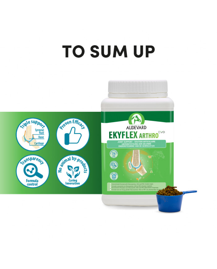Ekyflex Arthro EVO