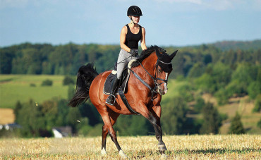 How can you tell if your horse’s joints are overworked and how do you protect them?