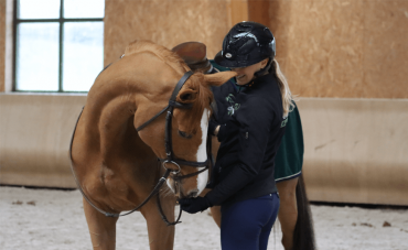 Évaluation santé : faites le point sur la santé de votre cheval